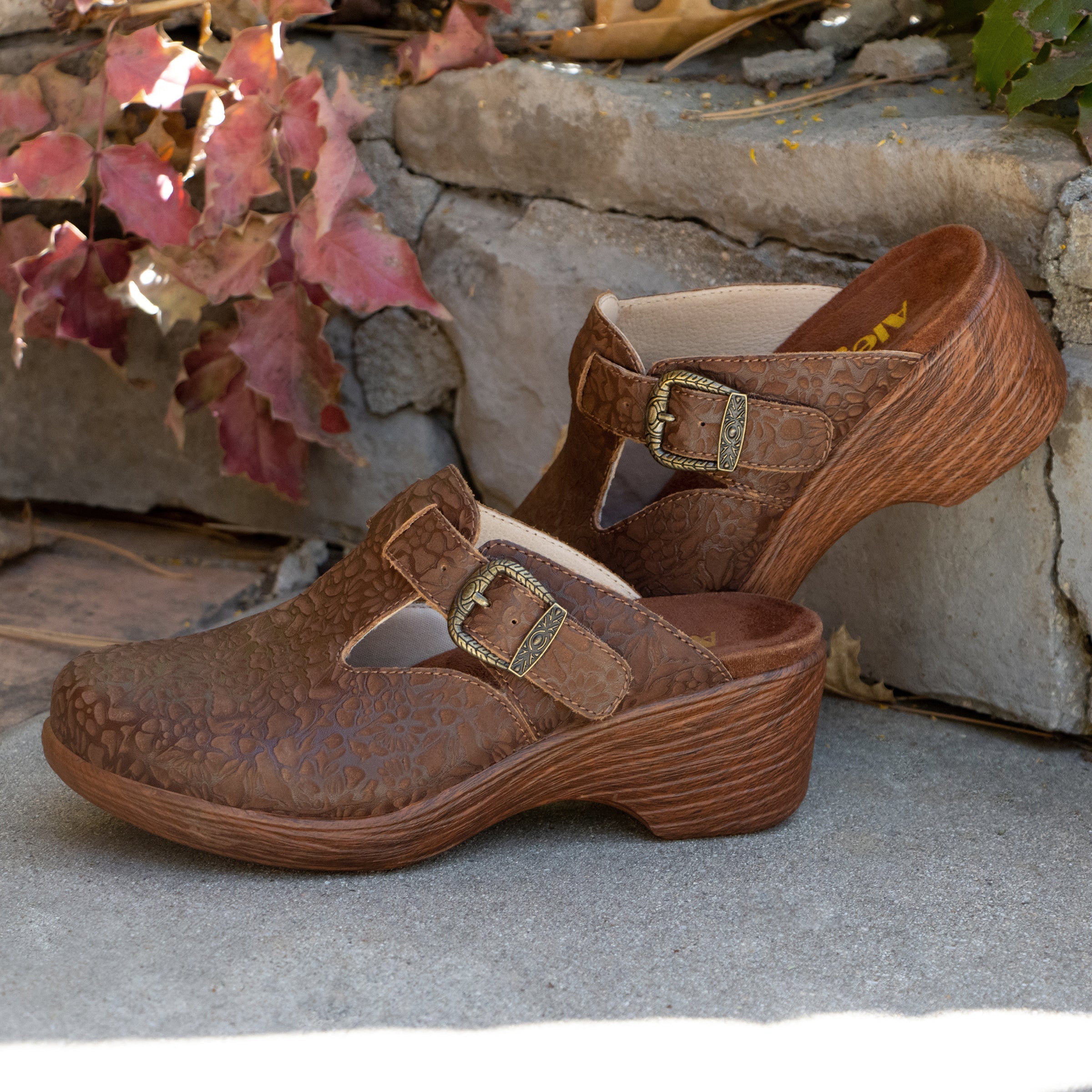 Selina Tawny Delicut Shoe - Image 2