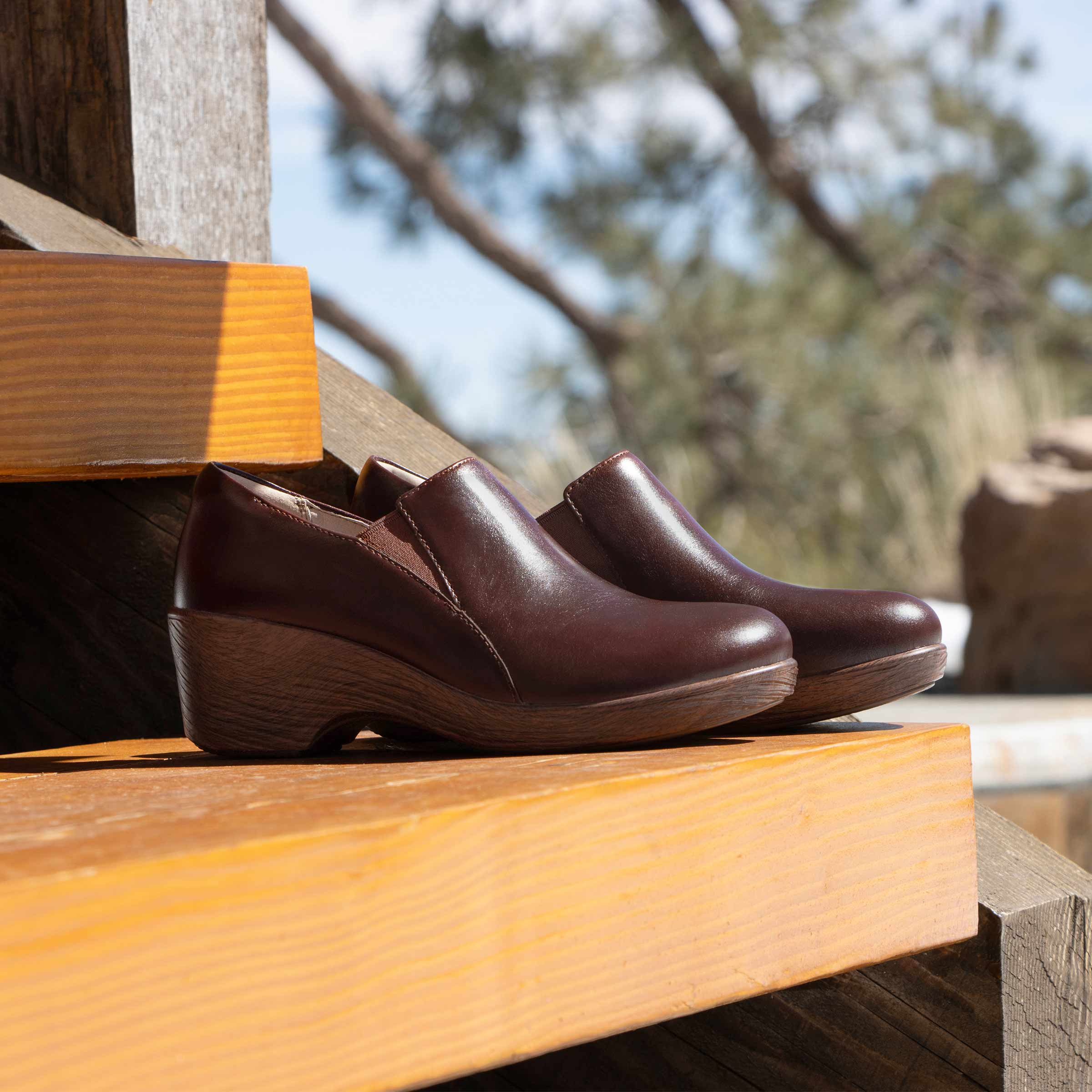 Skylar Mahogany Shoe - Image 2